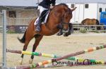 13/09 : 1er concours d'entrainement